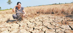 Hạn, mặn khốc liệt nhất lịch sử Việt Nam: Chuyên gia cảnh báo diễn biến nguy hiểm