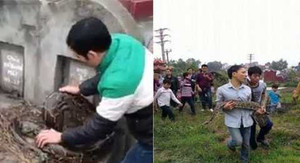 Những chuyện bí ẩn quanh con trăn khổng lồ trong nghĩa địa ở Hưng Yên