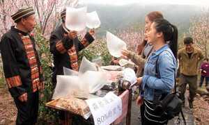 Người Trung Quốc đổ xô lên núi mua... không khí sạch