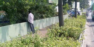 Xấu hổ cảnh người Việt tiểu bậy ngay sân bay Tân Sơn Nhất