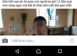 Xử phạt cô giáo tung tin học sinh bị bắt cóc lên Facebook