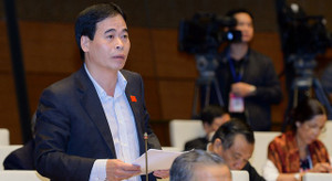 ‘Dừng xe khi có đèn đỏ và không có cảnh sát thì bị gọi là thằng hâm’