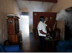 Sự thật có bệnh nhân nhiễm vi rút Zika đầu tiên ở Việt Nam