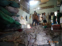 Kinh hãi hình ảnh dầu ăn được chế từ thịt, mỡ lợn thối