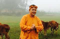 Ai sẽ thay Minh Béo dẫn 'Lục lạc vàng'?