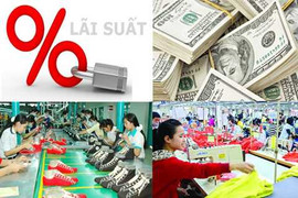 Ngân hàng Nhà nước tung đòn mới phá luật ngầm dân đầu cơ tỷ giá