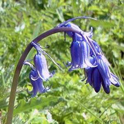 Nguyên tắc bảo vệ 'súng' khi 'chinh chiến'