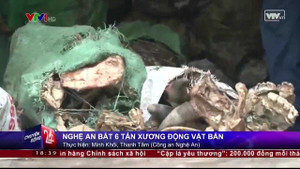 Clip: Kinh hoàng 6 tấn xương động vật thối 'đổ bộ' Hà Nội
