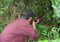 Trượt chân ngã, súng cướp cò khiến bạn săn tử nạn