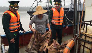 Phút nguy hiểm bắt giữ tàu Trung Quốc xâm phạm vùng biển Việt Nam