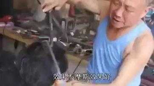 Những video hot nhất trên Facebook ngày 4/4