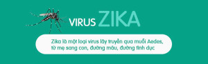 Infographic: 'Cơn ác mộng' virus Zika xuất hiện tại Việt Nam, đối phó thế nào?