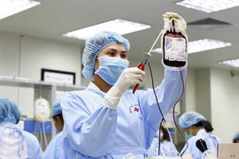 Truyền máu sao cho an toàn để tránh mắc virus Zika?