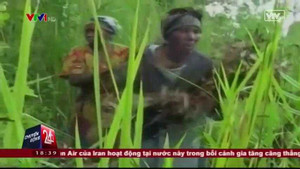 Lực lượng gìn giữ hòa bình LHQ lạm dụng tình dục 11 phụ nữ và trẻ em