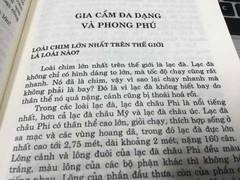 Thu hồi sách viết lạc đà là loài chim lớn nhất