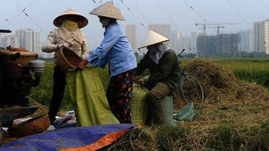 Những con số giật mình về kinh tế Việt Nam qua cảnh báo của tổ chức thế giới