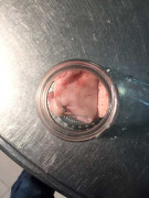 Nấu cơm cho học sinh bất ngờ phát hiện kim tiêm trong thịt lợn