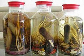 Bài rượu thuốc giúp quý ông say vợ