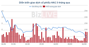 'Cổ phiếu bầu Đức' rớt giá thê thảm, liệu các ngân hàng có giải chấp?