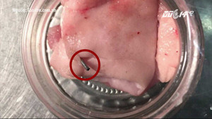 Clip: Hãi hùng phát hiện kim tiêm trong thịt lợn cung cấp cho trường học
