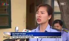 Tàu hỏa phanh gấp tránh xe máy: ‘Họ cố tình đẩy rào chắn, quay lại chửi bới và sỉ nhục’