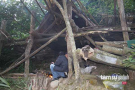 Cuộc đời ly kỳ của “người rừng” có khả năng “giao tiếp” với muông thú