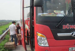 Ảnh: Xe khách liều lĩnh dừng đỗ trái phép trên cao tốc Nội Bài - Lào Cai