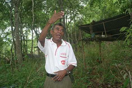 Lạ lùng tục lệ giả làm chó chạy nhảy để lừa… ma