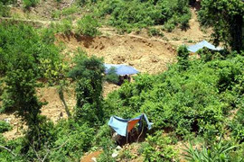 Bị ức hiếp, hàng trăm phu vàng nổi dậy trả thù đẫm máu