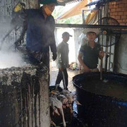 Kinh hãi những chiêu nhổ lông gà bằng hóa chất chỉ có ở VN