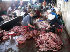 Lào Cai: Nhà dân tốc mái, hàng loạt gia súc bị sét đánh chết