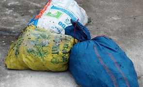 15 tấn cá bốc mùi nồng nặc chuẩn bị chế biến nước mắm