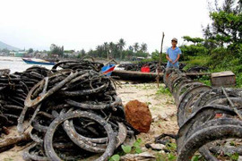 Xôn xao cam bọc nilon ủ thuốc, hàu nhiễm độc khiến nông dân 'chết đứng'