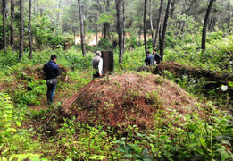Giải mã bí ẩn ngạc nhiên về lăng mộ vua Quang Trung