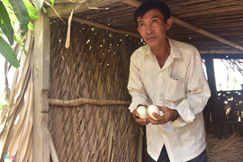 Ảnh: Bên trong khu đất của người bị khởi tố vì dựng chòi vịt