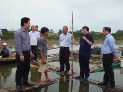 Cá chết trắng bờ biển miền Trung: Có thể thuê nước ngoài tìm nguyên nhân