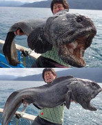 Những loài quái vật biển sâu kỳ dị nhất hành tinh