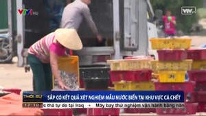 Ngư dân Hà Tĩnh ra khơi trở lại sau vụ cá chết hàng loạt