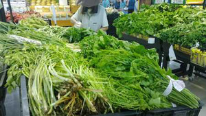 Clip: Bắt quả tang cơ sở đưa rau không rõ nguồn gốc vào siêu thị ở Hà Nội