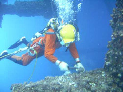 Cá chết bất thường ở Vũng Áng: Thêm 5 thợ lặn nhập viện