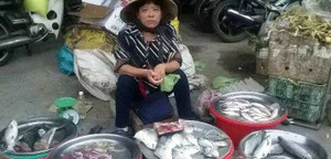 Cá chết ở biển miền Trung: Buôn cá khóc ròng, bán thịt cười tươi