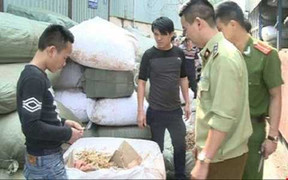 Thuốc Bắc tuồn về từ Trung Quốc, giá siêu rẻ