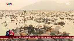 Kim loại nặng Crom trong nước biển Lăng Cô cao gấp 9 lần mức cho phép