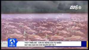 Thủy triều đỏ - Nguyên nhân gây ra cá chết hàng loạt