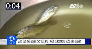 Nói thêm về thực nghiệm cá chết trong nước biển sau 2 phút