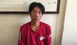 Bênh chị gái, cầm gạch đập chết anh rể trong bữa nhậu