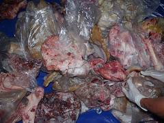 Đột kích cơ sở dùng hóa chất 'biến' thịt thối thành thịt tươi