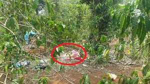 Phát hiện thi thể nam giới bốc mùi trong rẫy cà phê