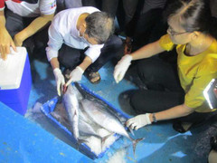 Bộ trưởng Trương Minh Tuấn đón tàu đánh bắt xa bờ trong đêm