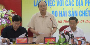 Thủ tướng Nguyễn Xuân Phúc: Phải làm rõ nguyên nhân cá chết, không bao che bất cứ ai